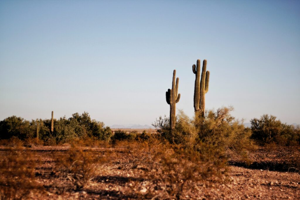 A photo of Arizona.
