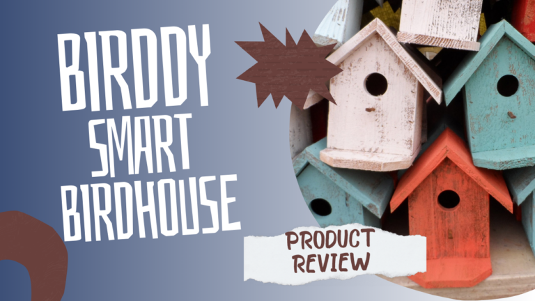 Is There Really a Market For a Smart Bird House?