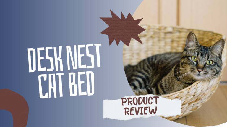 Attention Cat Lovers! Does Your Cat Need This New Cat Bed?