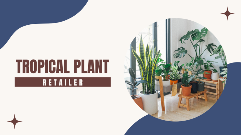 Business for Sale, Would I Buy It? | Tropical Plant Retailer